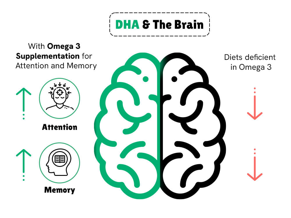 DHA Omega3 Brain Gummies 2+ (30N)
