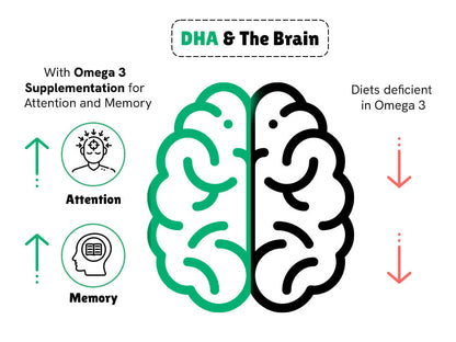 DHA Omega3 Brain Gummies 2+ (30N)